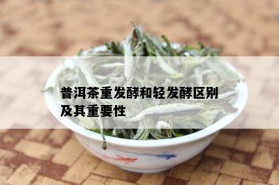 普洱茶重发酵和轻发酵区别及其重要性