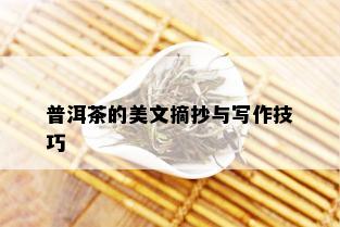 普洱茶的美文摘抄与写作技巧