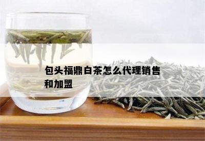 包头福鼎白茶怎么代理销售和加盟