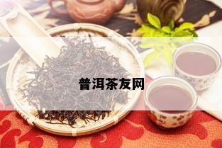 普洱茶友网