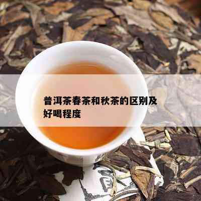 普洱茶春茶和秋茶的区别及好喝程度