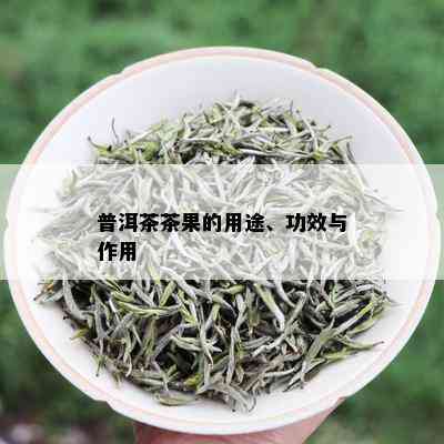 普洱茶茶果的用途、功效与作用