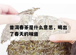 普洱春茶是什么意思，喝出了春天的味道