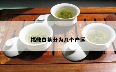 福鼎白茶分为几个产区