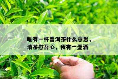 唯有一杯普洱茶什么意思，清茶慰吾心，我有一壶