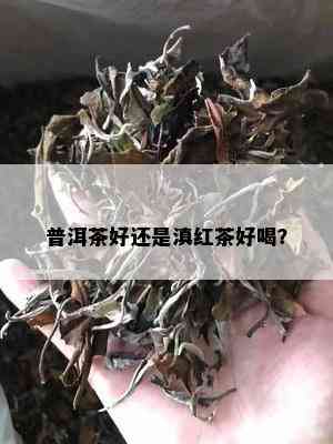 普洱茶好还是滇红茶好喝？