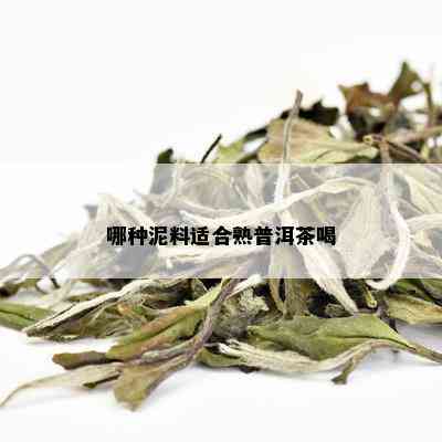 哪种泥料适合熟普洱茶喝