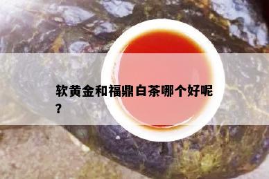 软黄金和福鼎白茶哪个好呢？