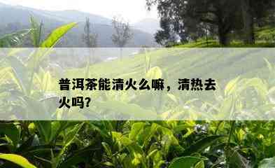 普洱茶能清火么嘛，清热去火吗？