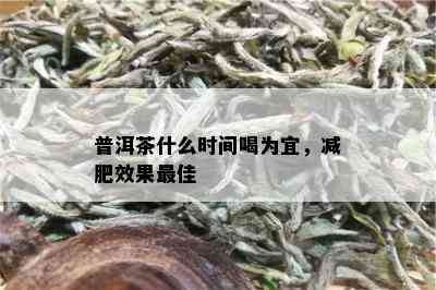 普洱茶什么时间喝为宜，减肥效果更佳