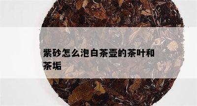 紫砂怎么泡白茶壶的茶叶和茶垢