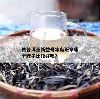 熟普洱茶新益号冰岛班章哪个牌子比较好喝？