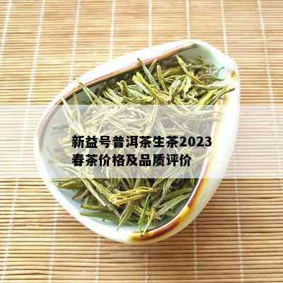 新益号普洱茶生茶2023春茶价格及品质评价