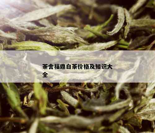 茶舍福鼎白茶价格及知识大全