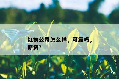 红鹤公司怎么样，可靠吗，薪资？