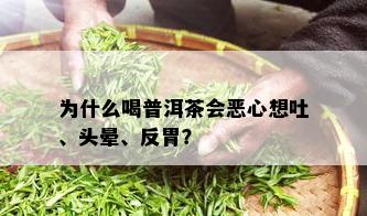 为什么喝普洱茶会恶心想吐、头晕、反胃？