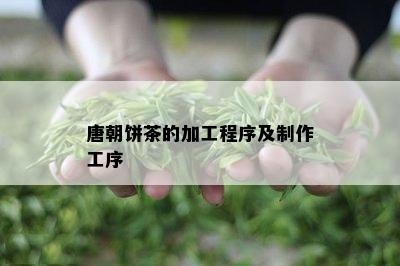 唐朝饼茶的加工程序及制作工序