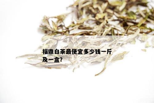 福鼎白茶更便宜多少钱一斤及一盒？