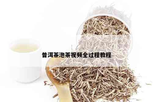 普洱茶泡茶视频全过程教程