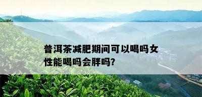 普洱茶减肥期间可以喝吗女性能喝吗会胖吗？