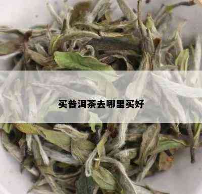 买普洱茶去哪里买好