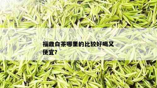 福鼎白茶哪里的比较好喝又便宜？