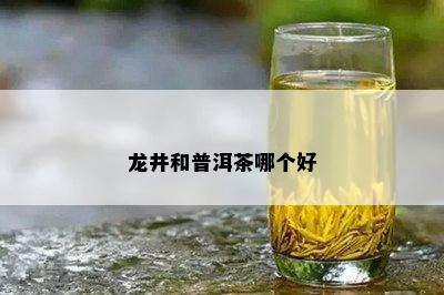 龙井和普洱茶哪个好