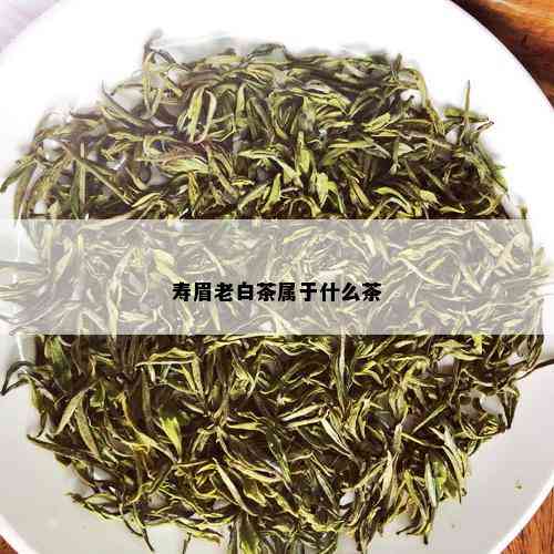 寿眉老白茶属于什么茶