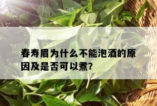 春寿眉为什么不能泡的原因及是否可以煮？