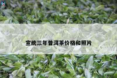 宣统三年普洱茶价格和照片