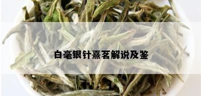 白毫银针熹茗解说及鉴