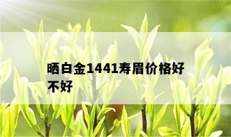 晒白金1441寿眉价格好不好