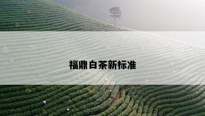 福鼎白茶新标准