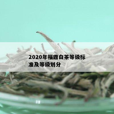 2020年福鼎白茶等级标准及等级划分