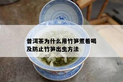 普洱茶为什么用竹笋煮着喝及防止竹笋出虫方法