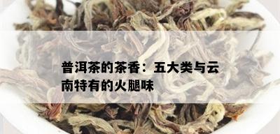 普洱茶的茶香：五大类与云南特有的火腿味