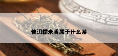 普洱糯米香属于什么茶