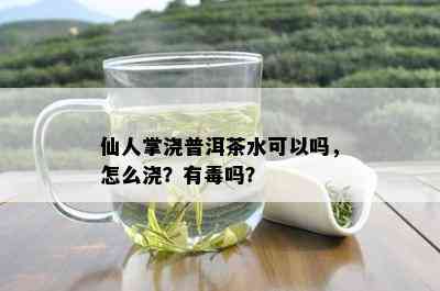 仙人掌浇普洱茶水可以吗，怎么浇？有吗？