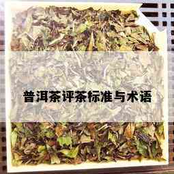 普洱茶评茶标准与术语