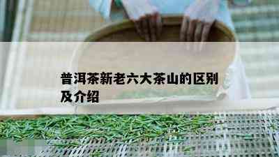 普洱茶新老六大茶山的区别及介绍