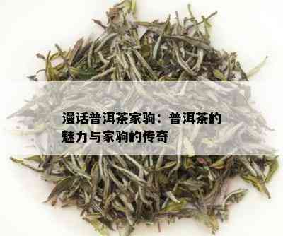 漫话普洱茶家驹：普洱茶的魅力与家驹的传奇