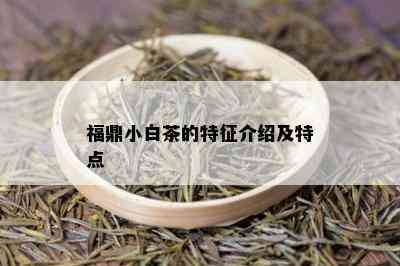 福鼎小白茶的特征介绍及特点