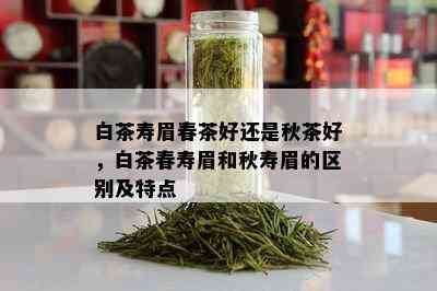 白茶寿眉春茶好还是秋茶好，白茶春寿眉和秋寿眉的区别及特点