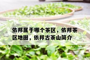 依邦属于哪个茶区，依邦茶区地图，依邦古茶山简介