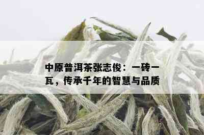 中原普洱茶张志俊：一砖一瓦，传承千年的智慧与品质