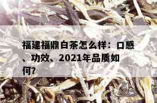 福建福鼎白茶怎么样：口感、功效、2021年品质如何？