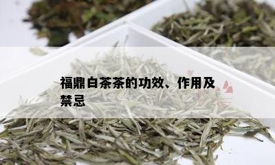 福鼎白茶茶的功效、作用及禁忌