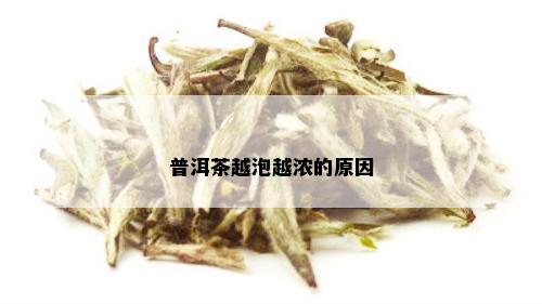 普洱茶越泡越浓的原因