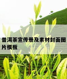 普洱茶宣传册及素材封面图片模板