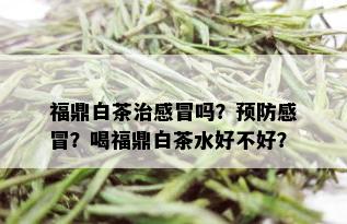 福鼎白茶治感冒吗？预防感冒？喝福鼎白茶水好不好？